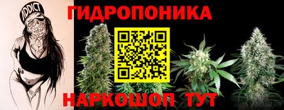 молекула духа Кандалакша