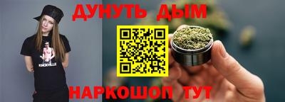 гидропоника Камышлов
