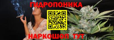 гидропоника Камышлов