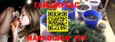 молекула духа Кандалакша