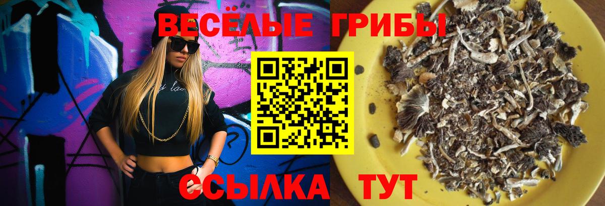 Галлюциногенные грибы мицелий  Галлюциногенные грибы прущие грибы  Вход с VPN  Краснодар 