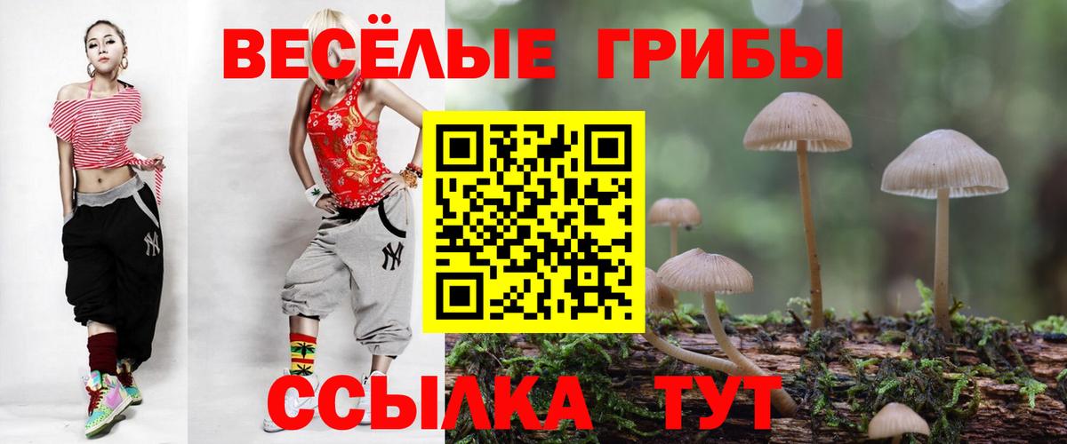 Псилоцибиновые грибы мухоморы Краснодар